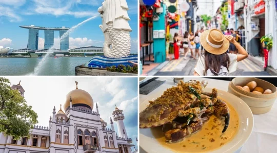 クリーミークラブの昼食+市内観光　チャイナタウン・アラブストリート散策付き